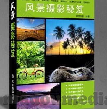 大象传媒观看网站-探索大象传媒观看网站的多元魅力