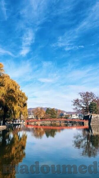 国产麻豆免费av-国产麻豆，打破常规的影视艺术展现形式