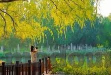 类似麻豆传媒的app-窥探网络灰色地带，类似麻豆传媒APP的诱惑与风险