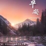 糖心vlog-寻找生活中的甜蜜，糖心Vlog的温馨片刻